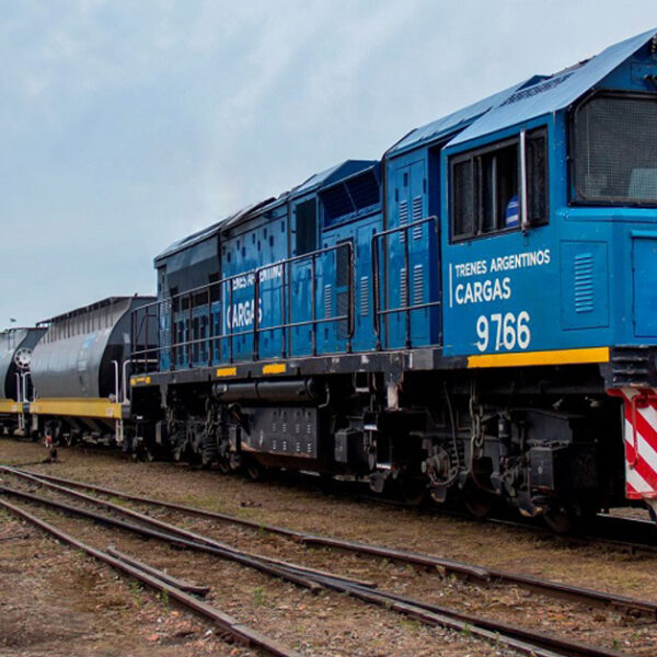 Trenes argentinos: repensar la eficiencia del sistema ferroviario nacional. Una aproximación